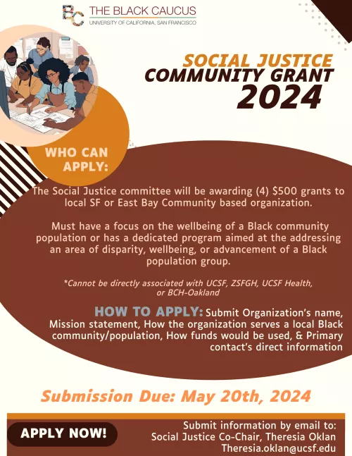 Social Justice Grant 2024 Flyer